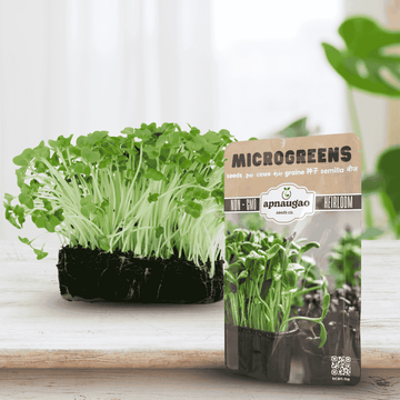 garden cress seeds in Pakistan