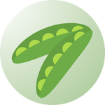 ApnaUgao green bean seeds – Fast-growing and nutrient-rich variety.