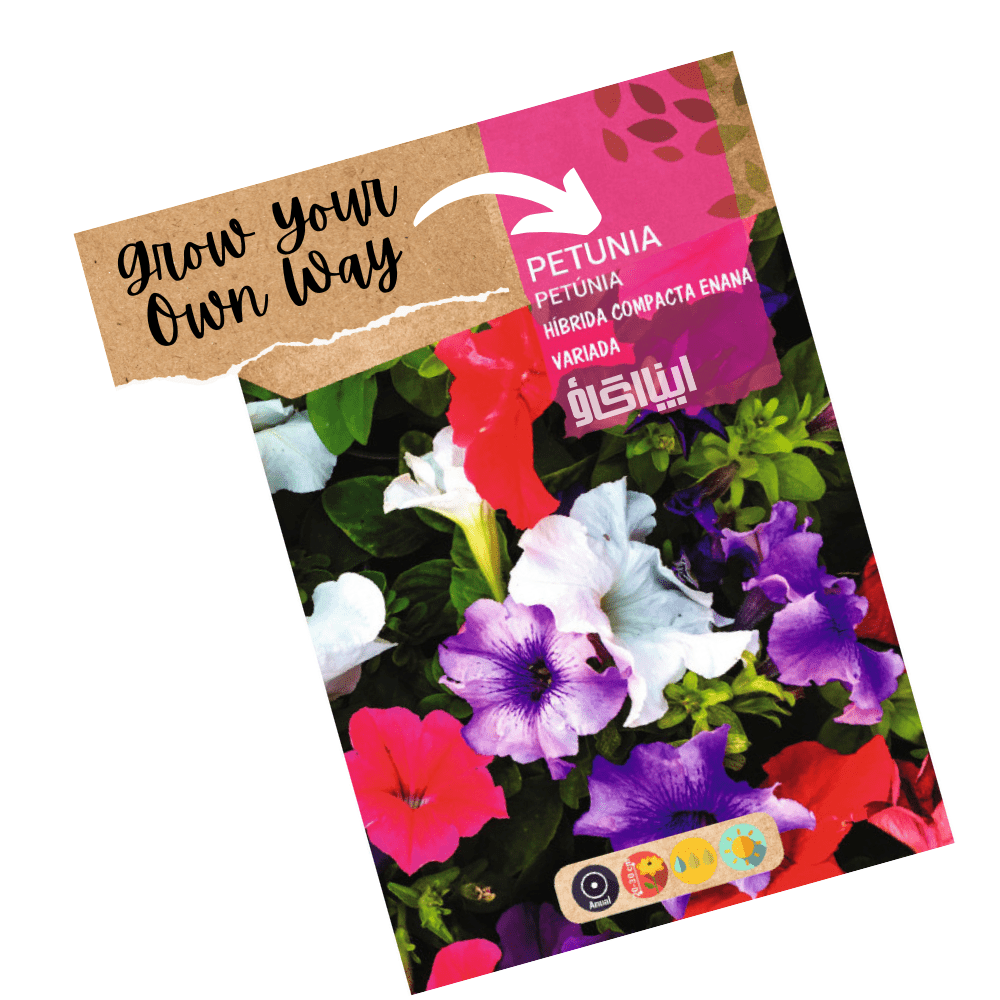 Petunia Compact Dwarf Mix Hybrid Flower Seeds - Apnaugao