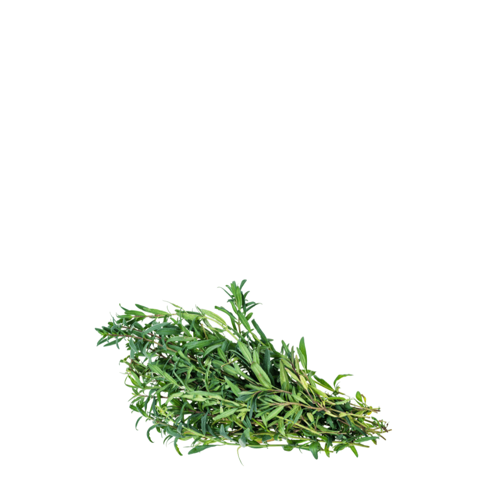 Hyssop Herb Seeds - Apnaugao