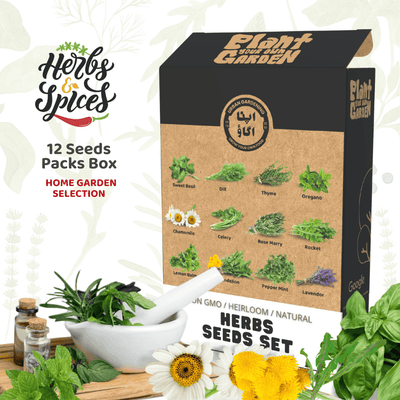 Herbs and Spices Gardening Kit GREEN BOX – 12-variety herb seed bundle including basil, mint, thyme, oregano, chamomile and lavender for Pakistan