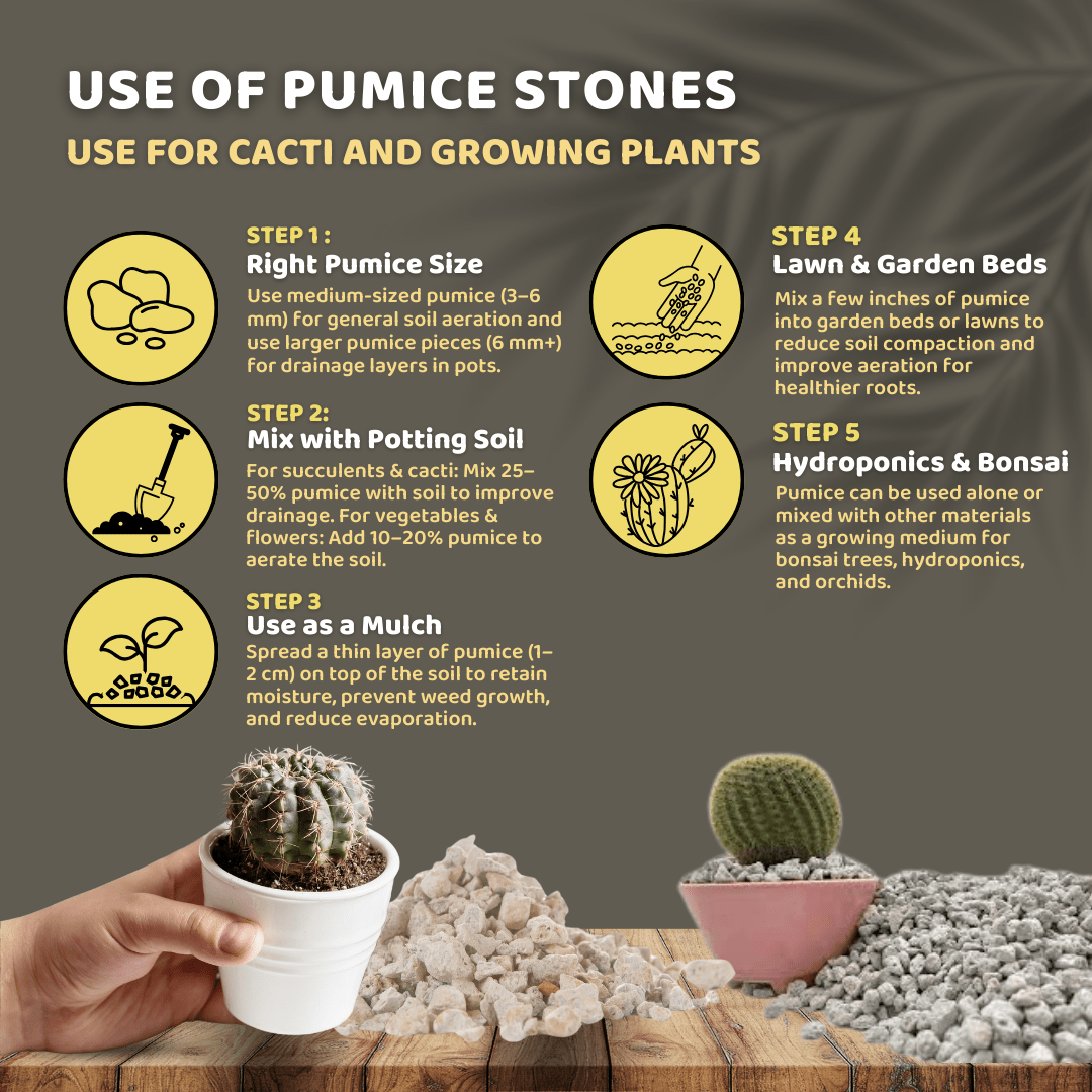 NATURAL PUMICE STONE FOR SOIL AERATION - Apnaugao