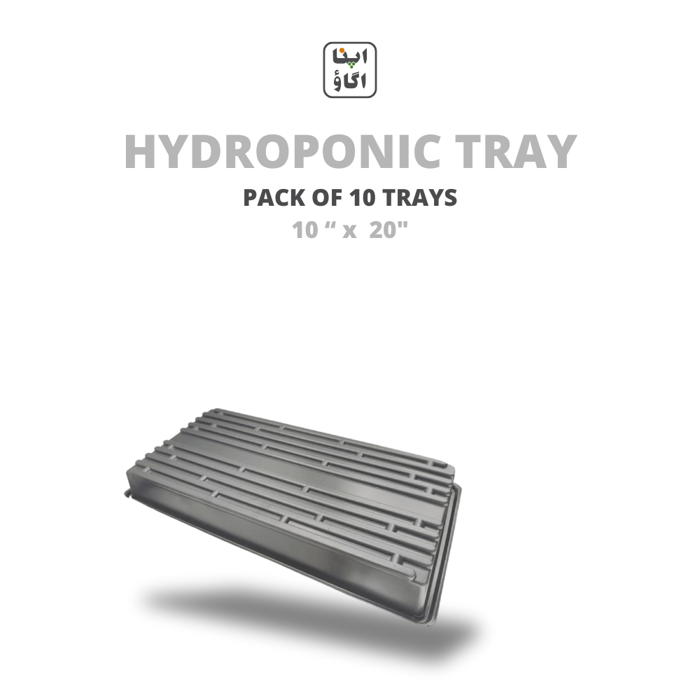 1020 Bottom Watering & Hydroponic Plants & Seedling Trays - Apnaugao