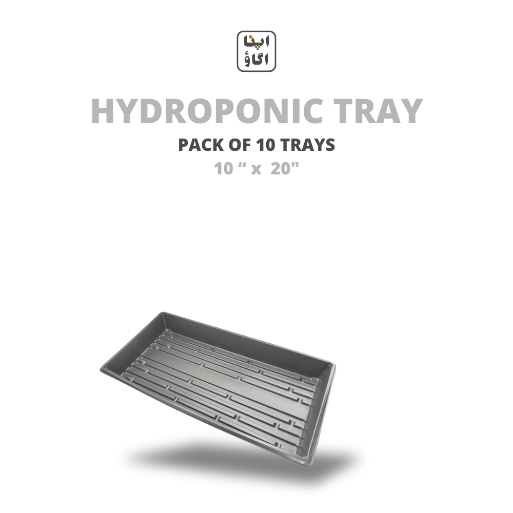 1020 Bottom Watering & Hydroponic Plants & Seedling Trays - Apnaugao