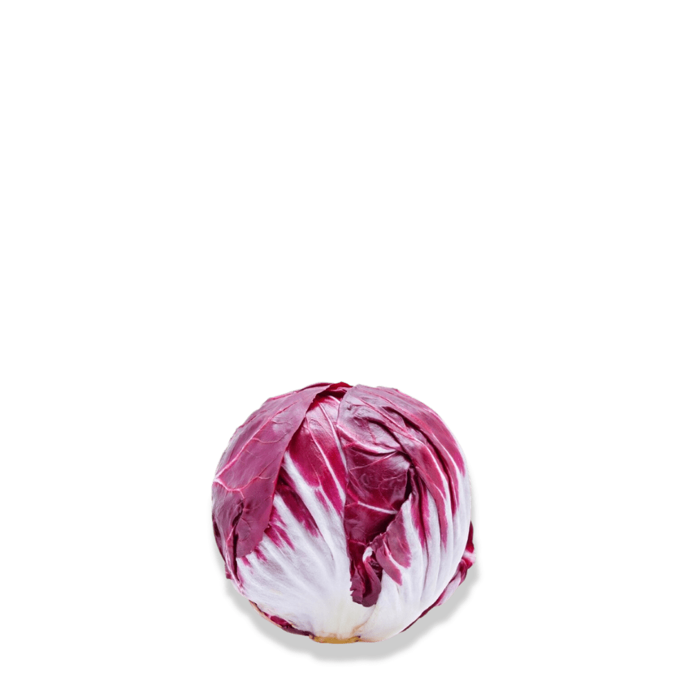 Chicory Radicchio Seeds – Palla Rossa Italian Variety