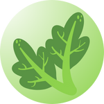 Premium leafy green seeds – Perfect for spinach, lettuce, kale, and more.