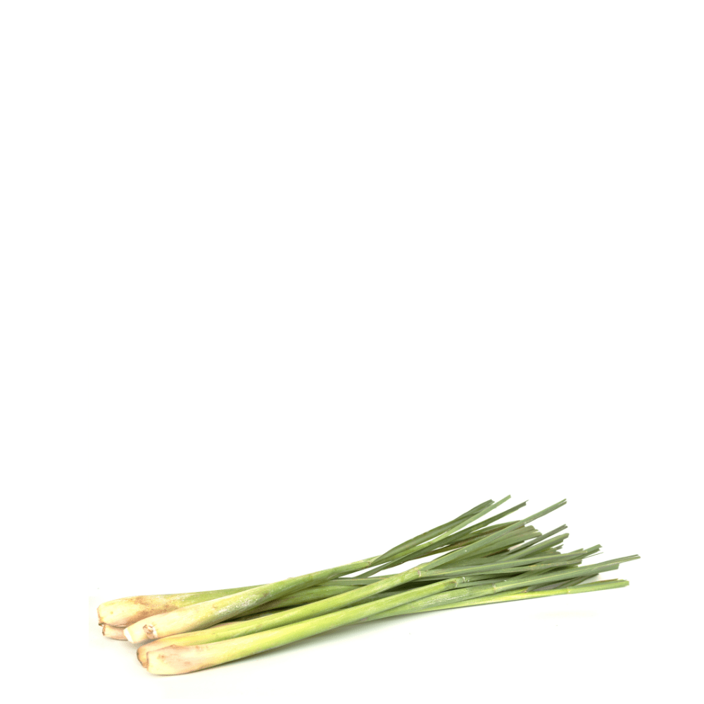 Grow lemon grass for home gardening