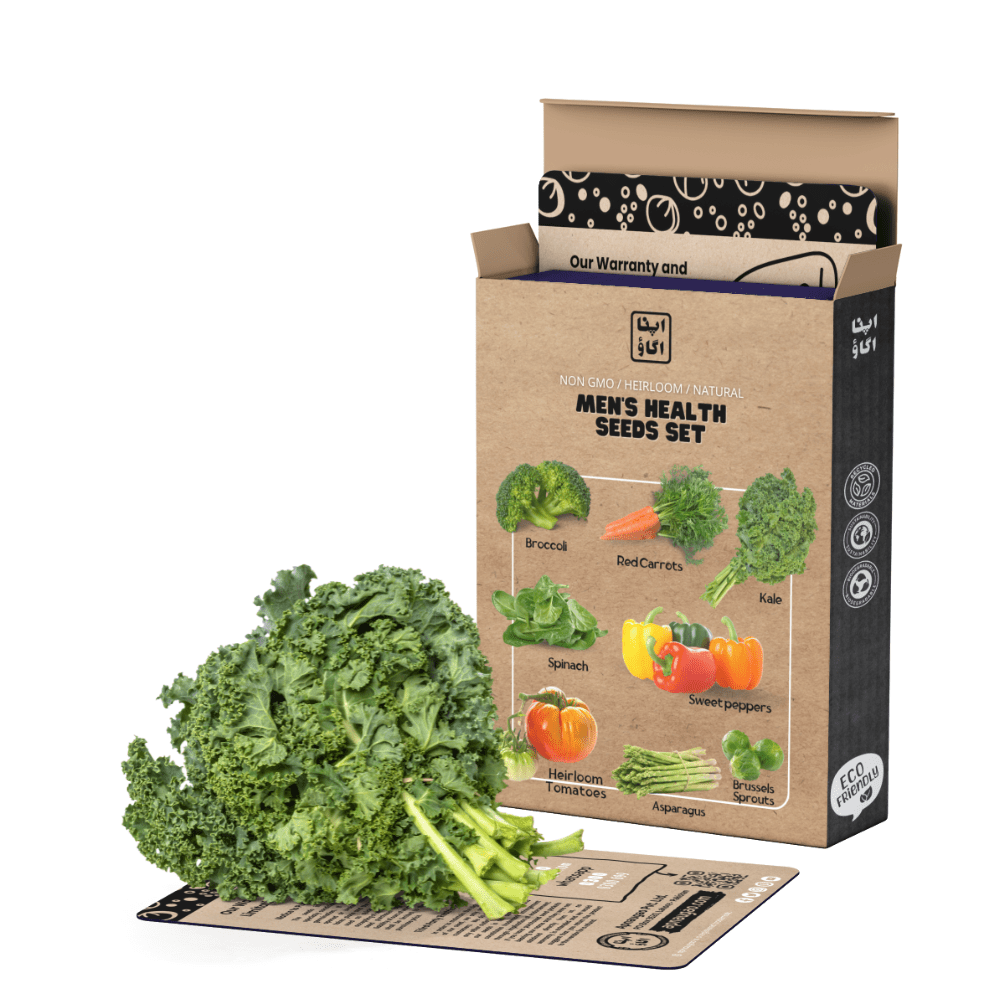 Men's Health Vegetable Seeds Set - including broccoli, carrots, kale, spinach, sweet peppers, tomatoes, asparagus and brussels sprouts in one seeds bundle by Apnaugao