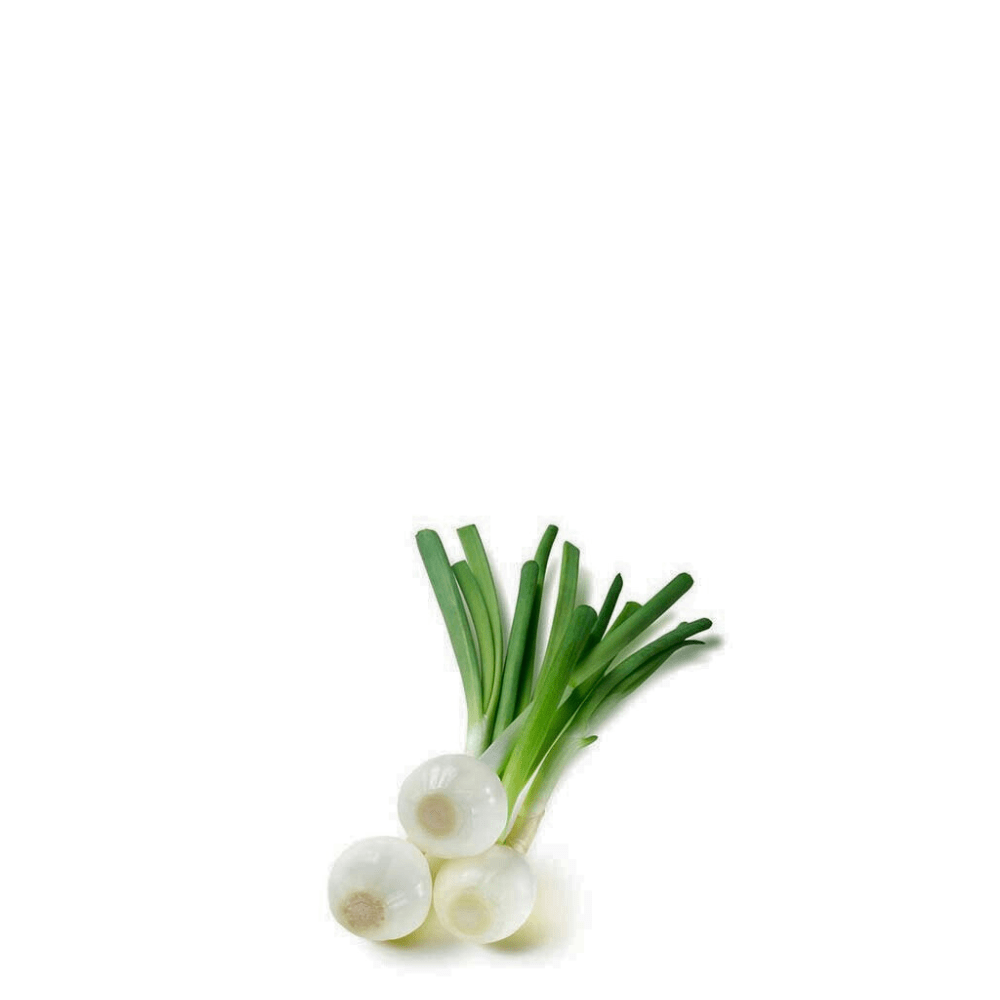Green Onion Seeds Barletta - Apnaugao