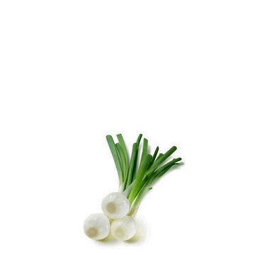 Green Onion Seeds Barletta - Apnaugao