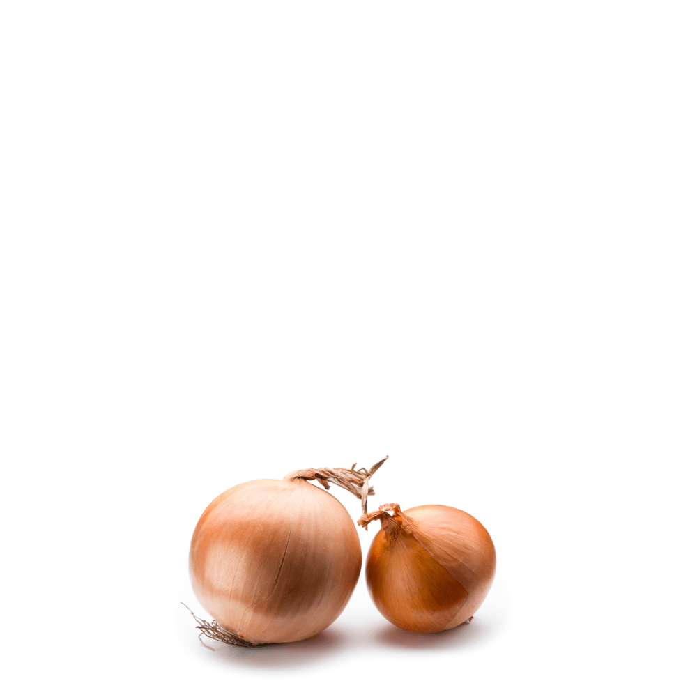 Yellow Onion Seeds Onion - Babosa - temprana - Apnaugao