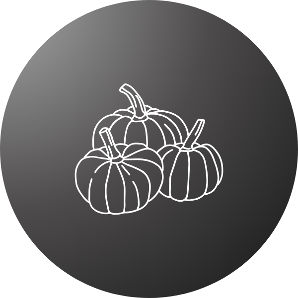 Decorative vegetable plants – Add color and charm to your home garden.