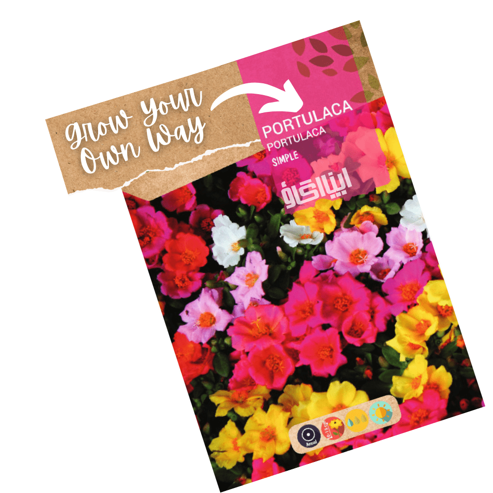 Single Portulaca Flower Mixed Seeds - Apnaugao