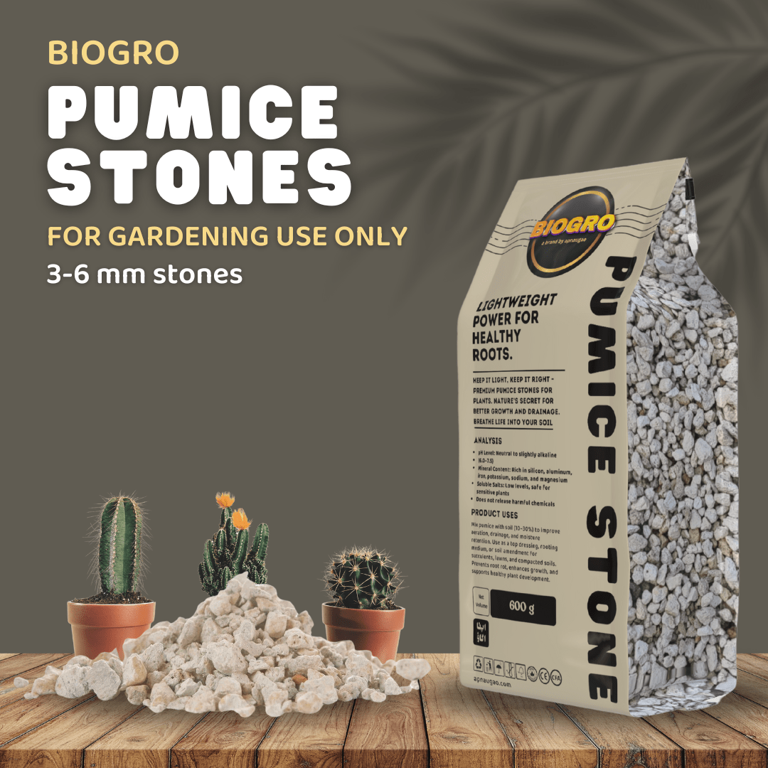 NATURAL PUMICE STONE FOR SOIL AERATION - Apnaugao