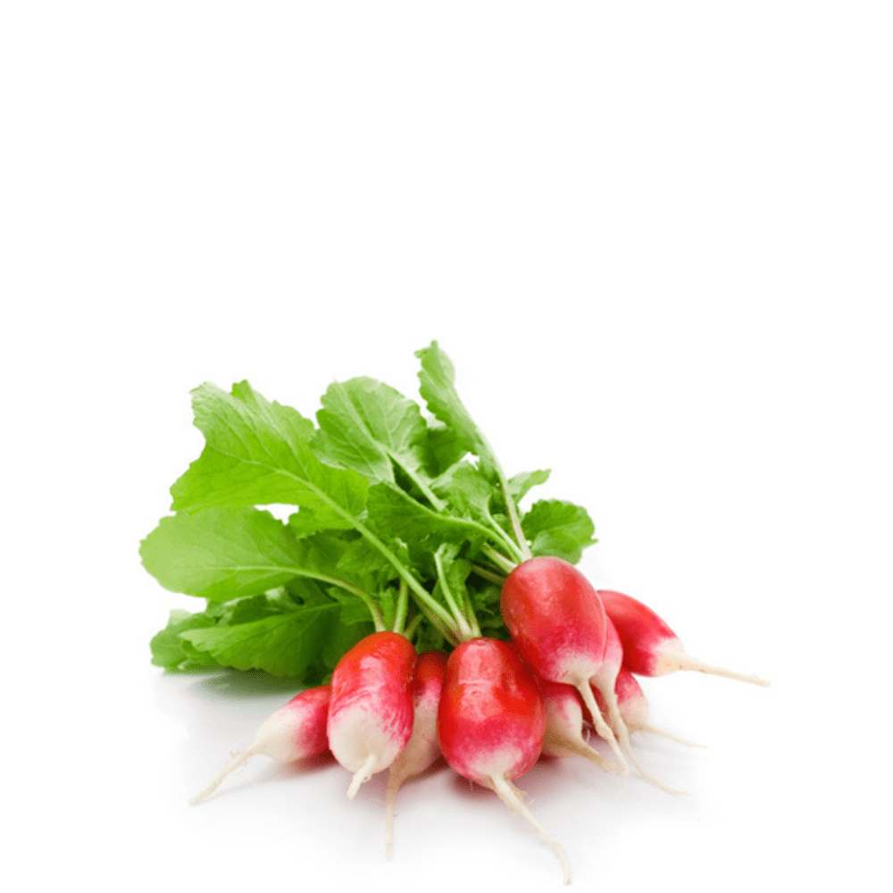 Heirloom Radish Seeds (Laal Mooli ) - Largo Punta Blanca - Apnaugao
