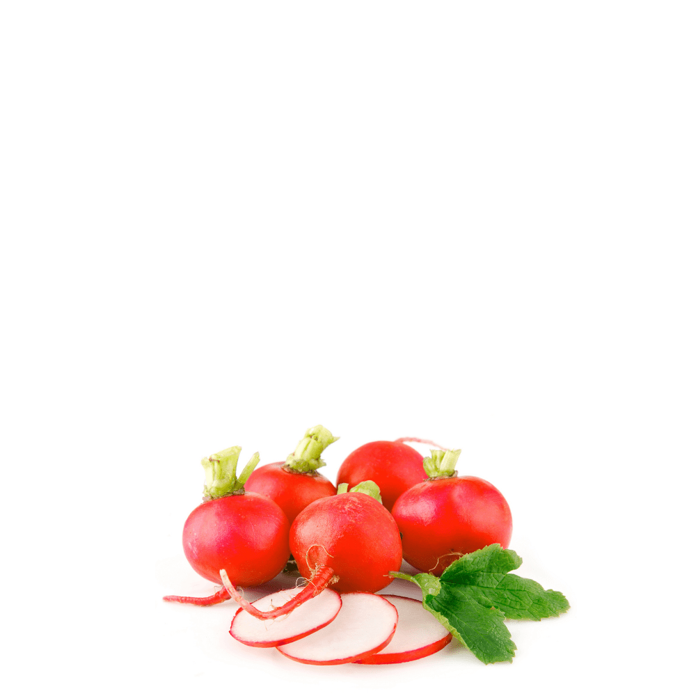 Heirloom Radish Seeds - Crimson Giant - Apnaugao