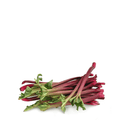Premium rhubarb seeds for home gardens and farms.