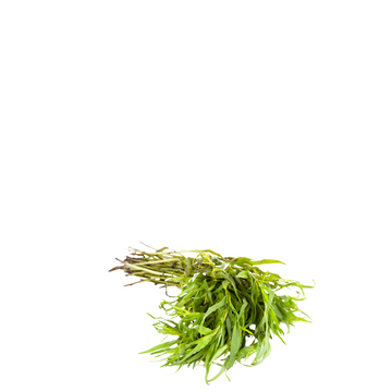 Russian Tarragon Herb Seeds