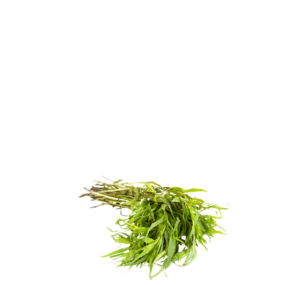 Russian Tarragon Herb Seeds - Apnaugao