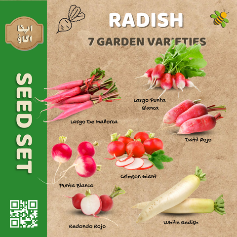 Radish Seeds Set