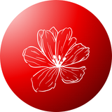 Grow beautiful red flowers – Perfect for gardens, pots, and landscapes.