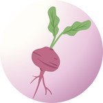 ApnaUgao root vegetable seeds β Best selection for nutrient-rich harvests.