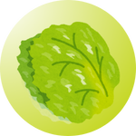 Best salad greens – Grow your own healthy, farm-fresh ingredients.