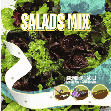 Lettuce Baby Leaf Seeds Tape - Apnaugao