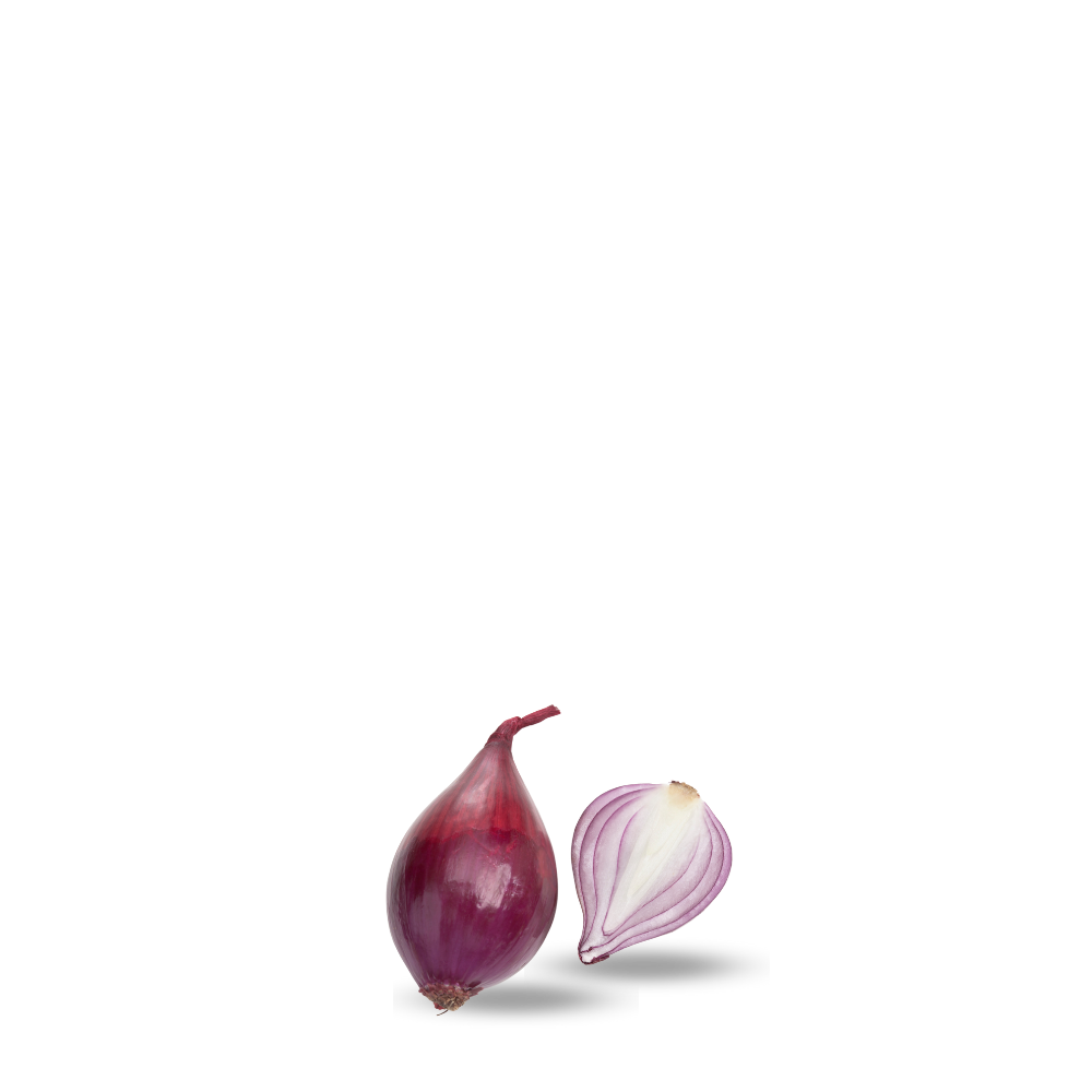 Shallots Onion Seeds Lunga di Fiernze