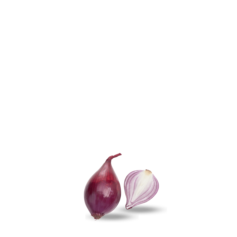 Shallots Onion Seeds Lunga di Fiernze - Apnaugao