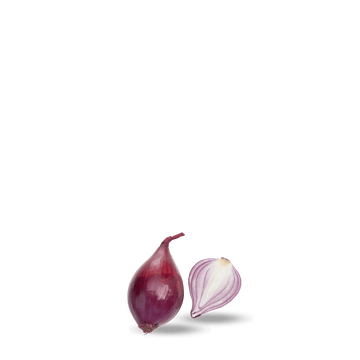 Shallots Onion Seeds Lunga di Fiernze - Apnaugao