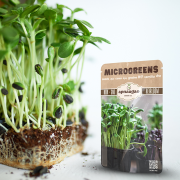 Microgreens with a seed packet labeled 'apnaugrao' on a light background