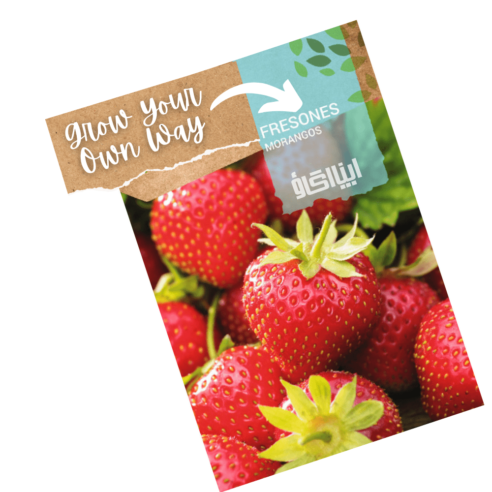 Strawberry Fresón seeds – Grow sweet, juicy strawberries at home.