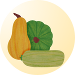 Best summer vegetables to plant in Pakistan – High-yield seeds.