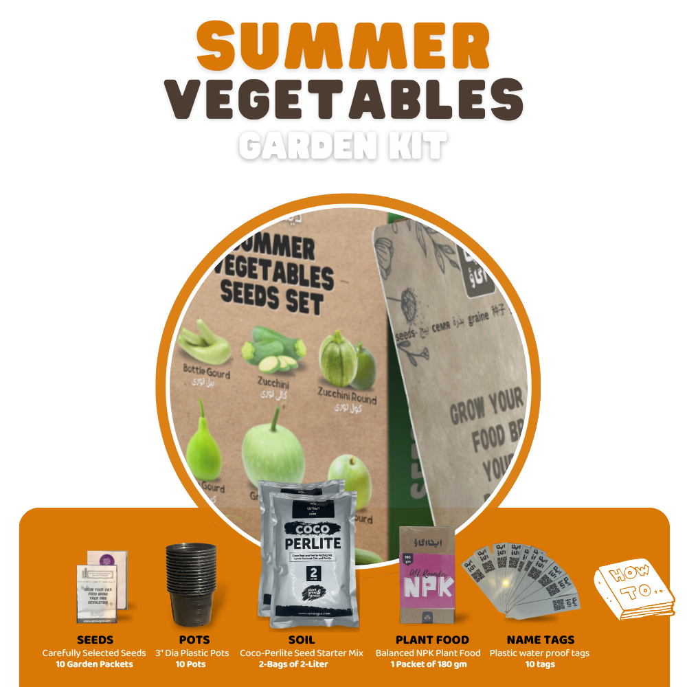 09  Summer Vegetables Home Gardening Kit. DIY Easy to grow.