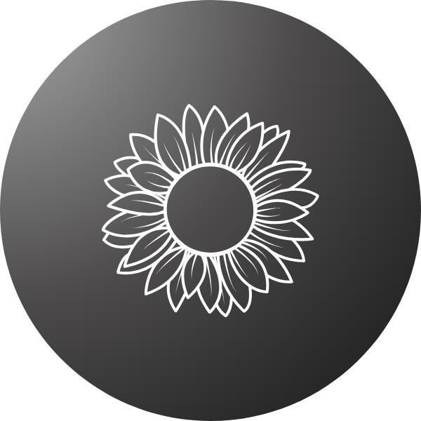 Premium sunflower seeds – Perfect for gardens, pots, and landscapes.