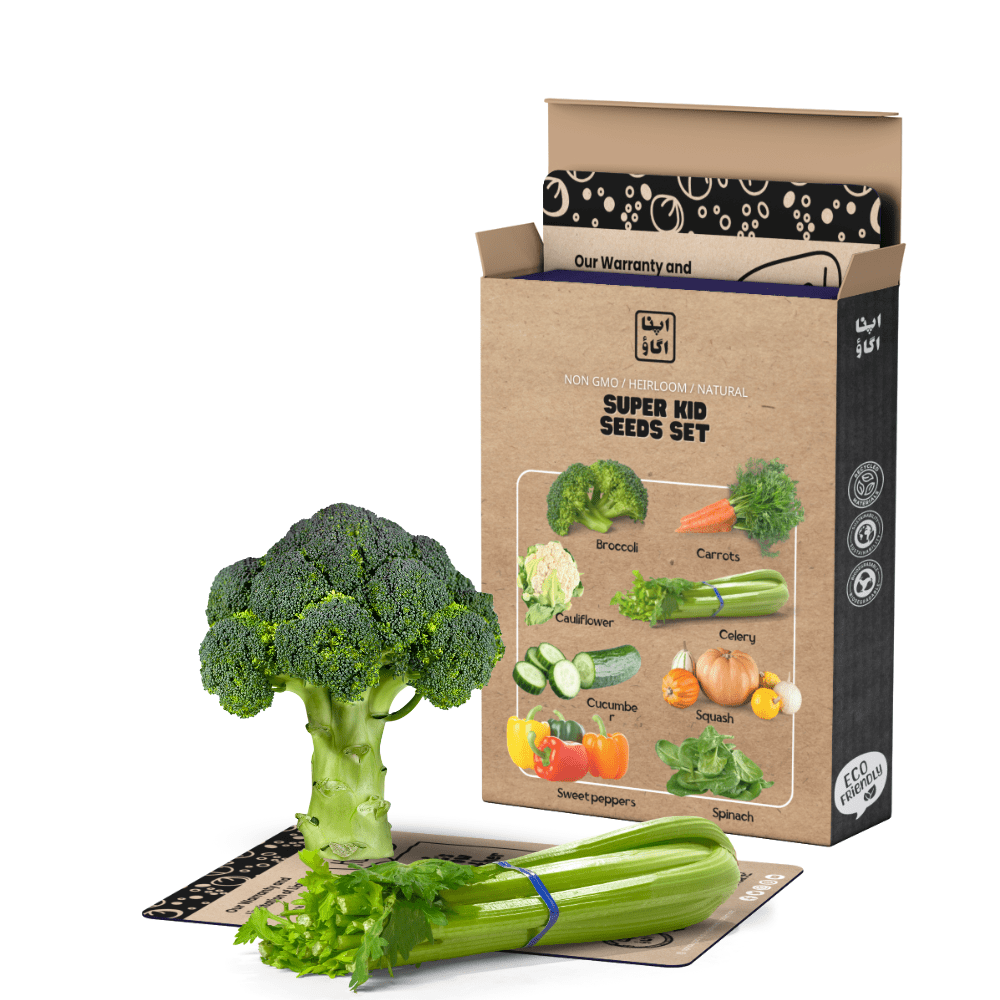 Vegetable Seeds bundle-selected non gmo varieties – 8 Nutritious Varieties