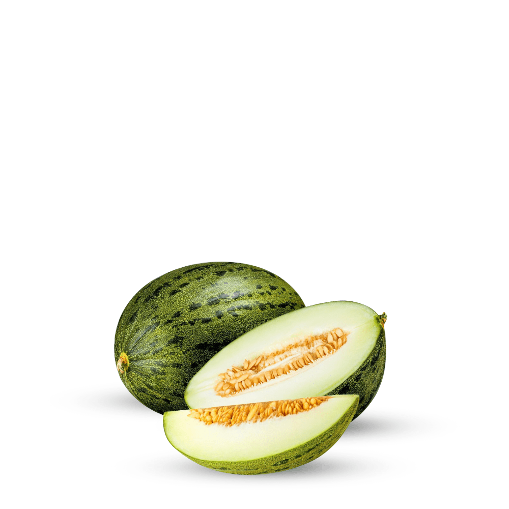 Honeydew Melon Pinonet Piel De Sapo Seeds - Apnaugao