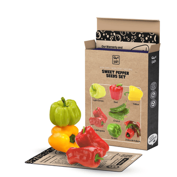 Sweet / Bell Pepper Seeds Set - Apnaugao