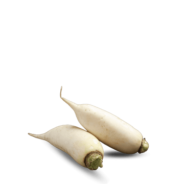 Heirloom Turnip Seeds ( Shaljam ) - Virtudes martillo - Apnaugao