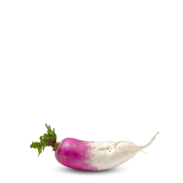 Heirloom Turnip Seeds ( Shaljam ) -  Roxo Comprido