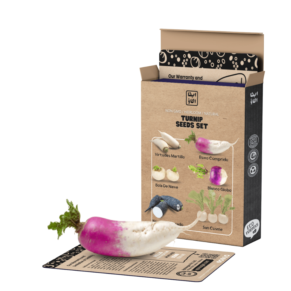 Heirloom Turnip Seeds Set - Apnaugao
