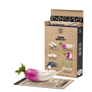 Heirloom Turnip Seeds Set - Apnaugao