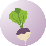 Organic turnip seeds β Perfect for soups, salads, and roasting.