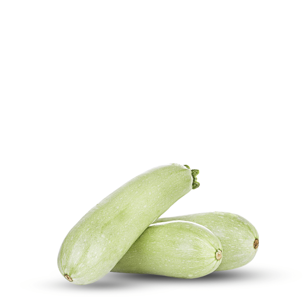 Heirloom Zucchini Bianca di Trieste Seeds - Apnaugao