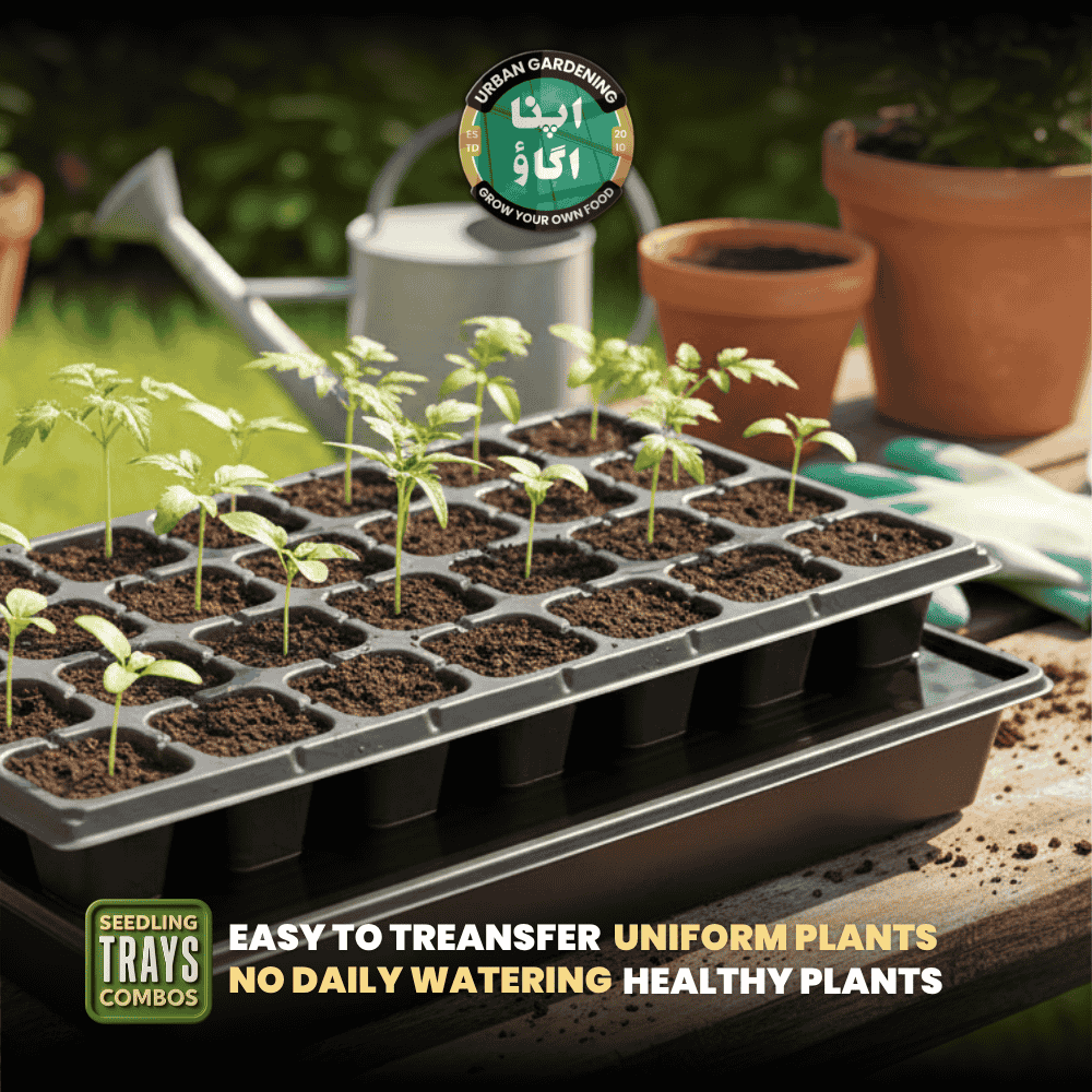 Seedling trays with gardening instructions on a natural background