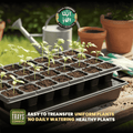 Seedling trays with young plants on a table outdoors, with gardening tools and pots in the background.