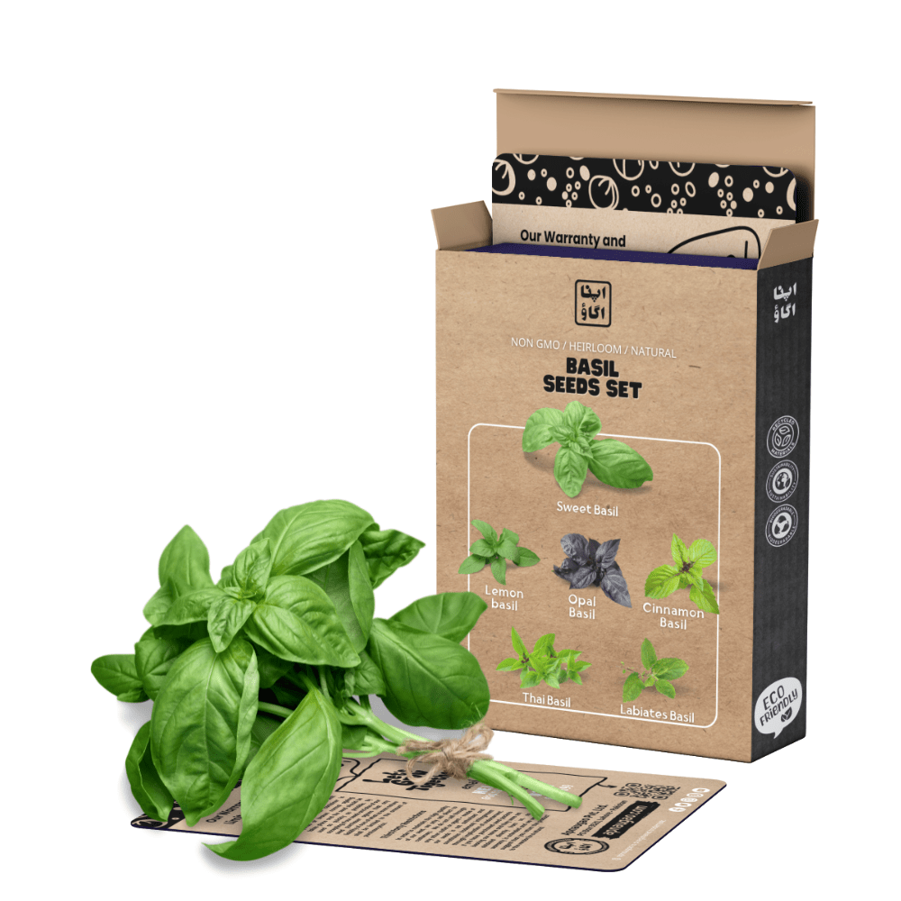 Basil Herb Seeds Set - 6 Varieties for Home Gardening