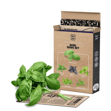 Basil Herb Seeds Set - 6 Varieties for Home Gardening