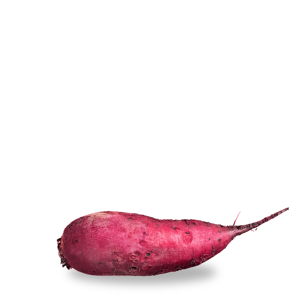 Heirloom Beetroot ( Chukander ) Seeds - beterraba - cylindra - Apnaugao